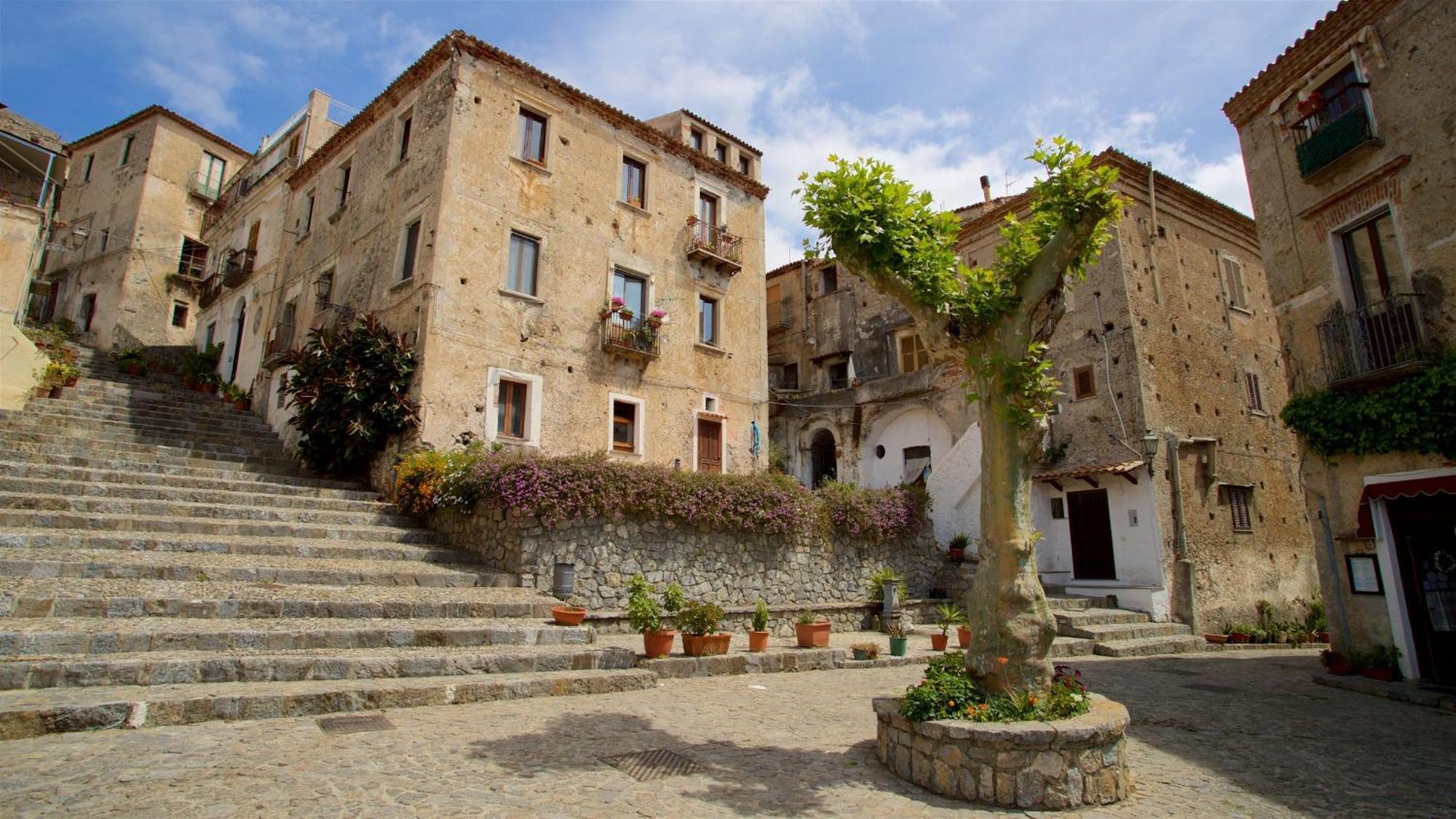 Apartmán The Lemon Tree House Scalea Exteriér fotografie