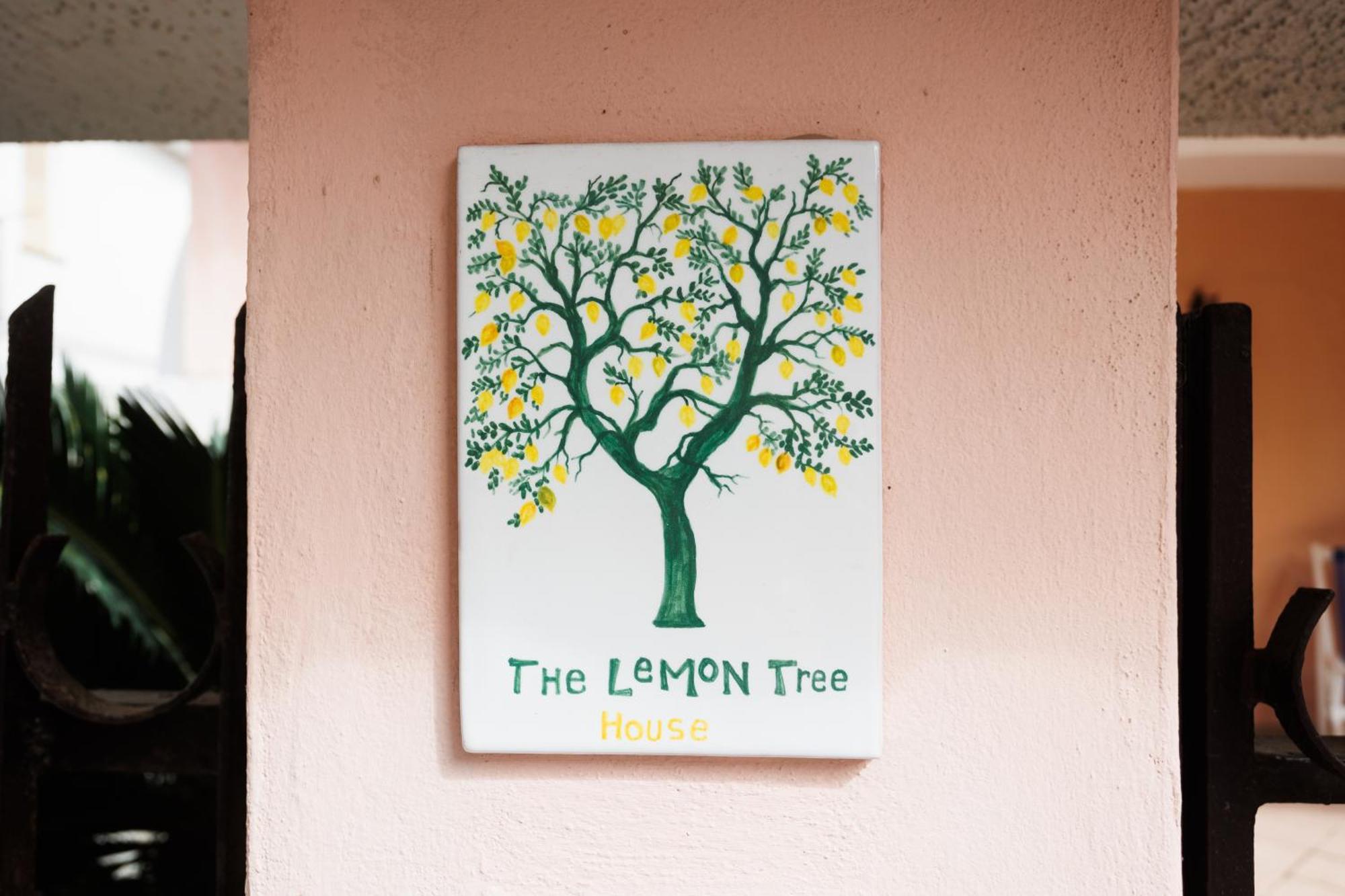 Apartmán The Lemon Tree House Scalea Exteriér fotografie